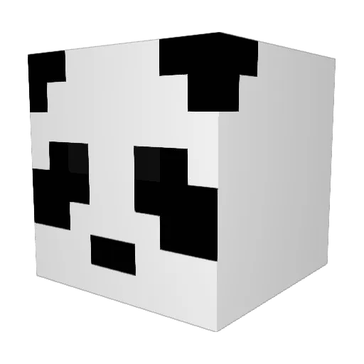 DanneGamer11 Minecraft avatar head, 3D render