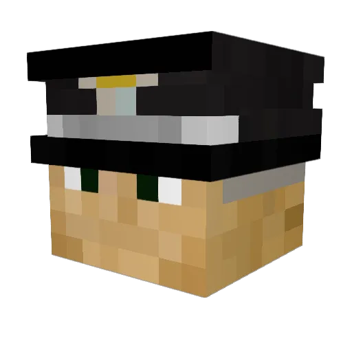 DanneSwager Minecraft avatar head, 3D render