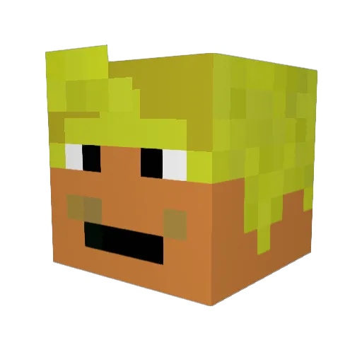 Danner125 Minecraft avatar head, 3D render