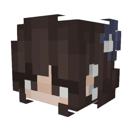 DanniLi Minecraft avatar head, 3D render