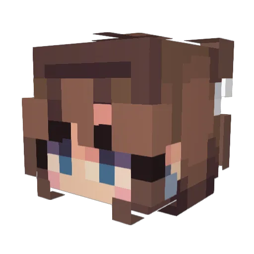 DanniTheHunter Minecraft avatar head, 3D render