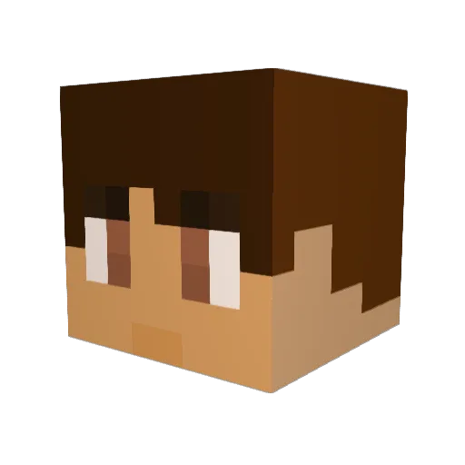 Danni_ski Minecraft avatar head, 3D render