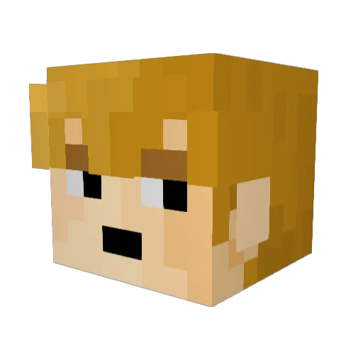 Dannno1 Minecraft avatar head, 3D render
