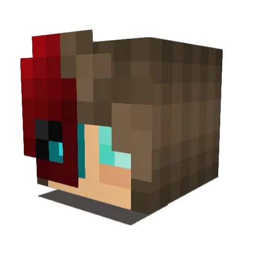 Danntehh Minecraft avatar head, 3D render