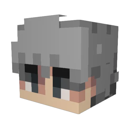 Danny1207 Minecraft avatar head, 3D render