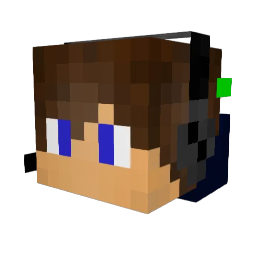 Danny501 Minecraft avatar head, 3D render