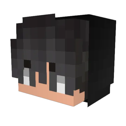 Danny5357 Minecraft avatar head, 3D render