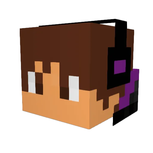 Danny9411 Minecraft avatar head, 3D render