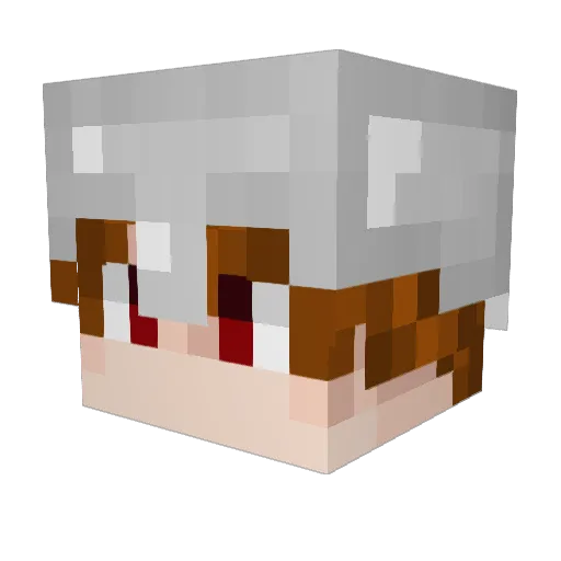 DannyLiam0402 Minecraft avatar head, 3D render
