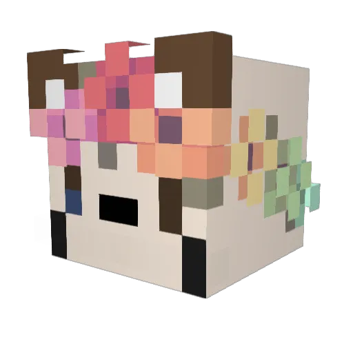 DannyLitten Minecraft avatar head, 3D render
