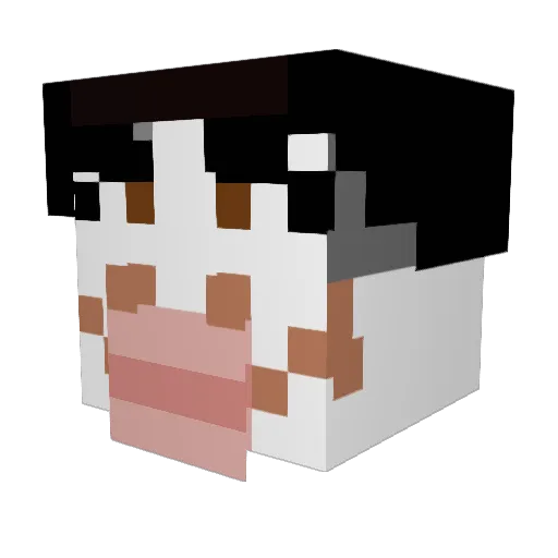 DannyMurphyy Minecraft avatar head, 3D render