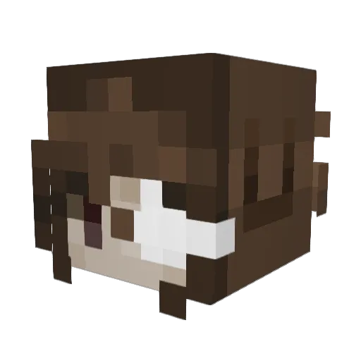 DannySixx Minecraft avatar head, 3D render