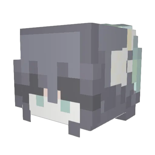 DannyThePirate Minecraft avatar head, 3D render
