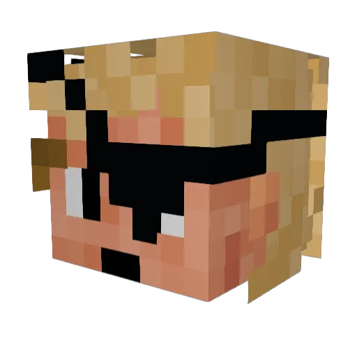 DannyWS Minecraft avatar head, 3D render