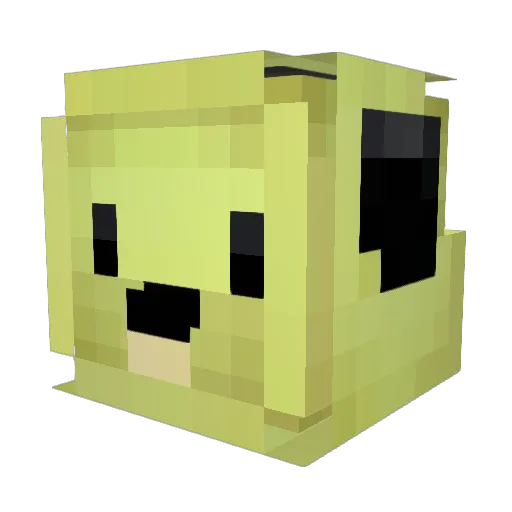 Danny_Nix Minecraft avatar head, 3D render