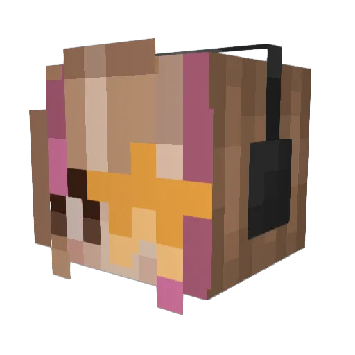 Danny_Phantom241 Minecraft avatar head, 3D render