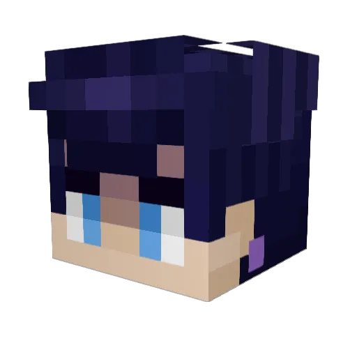 Dannyk872 Minecraft avatar head, 3D render