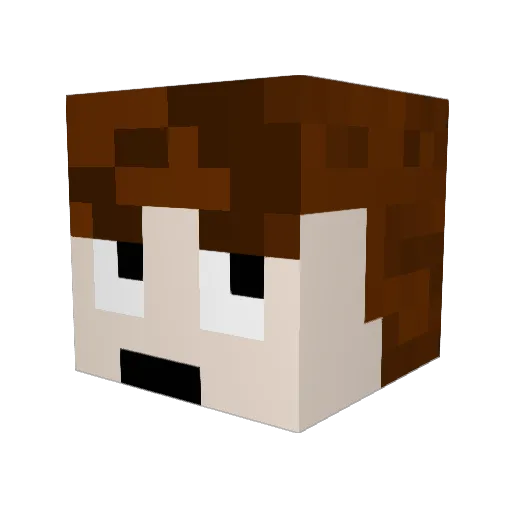 Dannyl782 Minecraft avatar head, 3D render