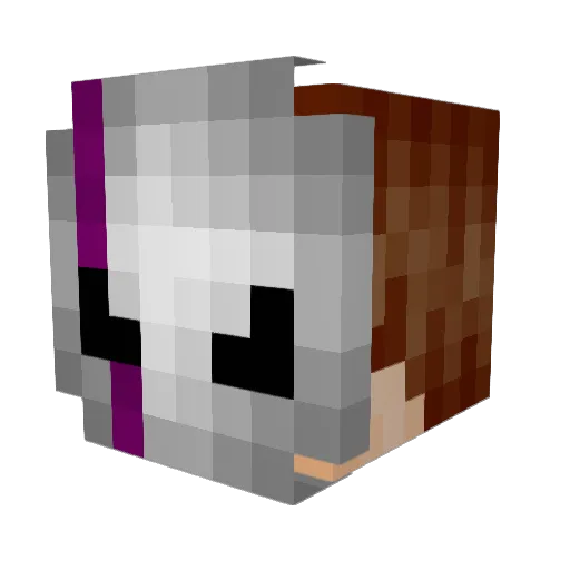 Dannywoo Minecraft avatar head, 3D render