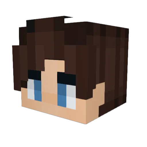 Dannyy94 Minecraft avatar head, 3D render