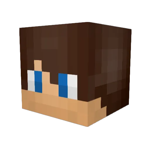 Dannyzoo Minecraft avatar head, 3D render