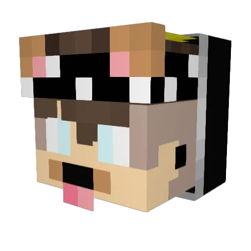 Danoneiro11 Minecraft avatar head, 3D render