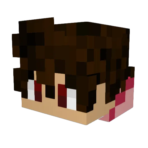 Danonenh0 Minecraft avatar head, 3D render