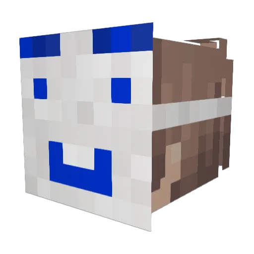 Danonifer Minecraft avatar head, 3D render