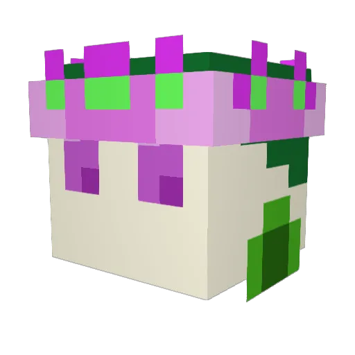 Danos0 Minecraft avatar head, 3D render