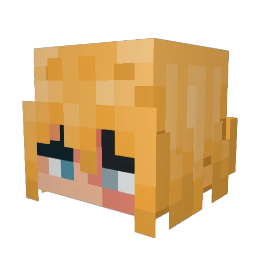 DanovaMC Minecraft avatar head, 3D render