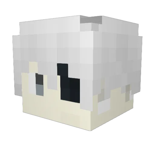 Danoxdr Minecraft avatar head, 3D render