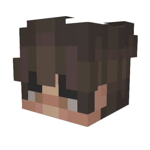 Danpoop1 Minecraft avatar head, 3D render