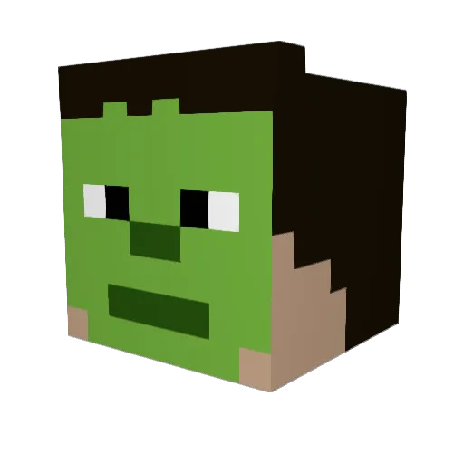 Danrich41 Minecraft avatar head, 3D render