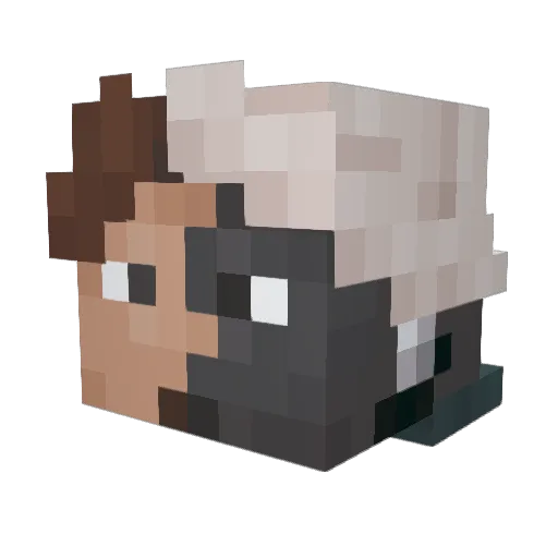 Danrus110_ Minecraft avatar head, 3D render