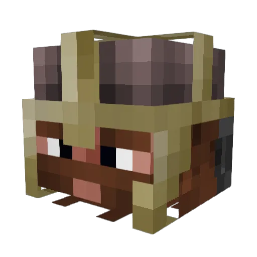 DanskViking Minecraft avatar head, 3D render