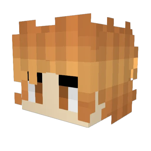 Dansori00 Minecraft avatar head, 3D render