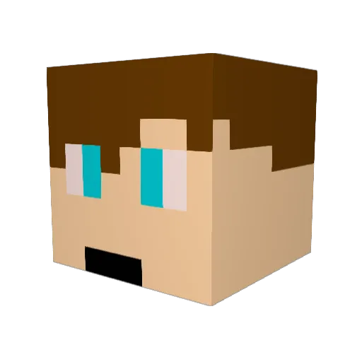 Dansterftw Minecraft avatar head, 3D render