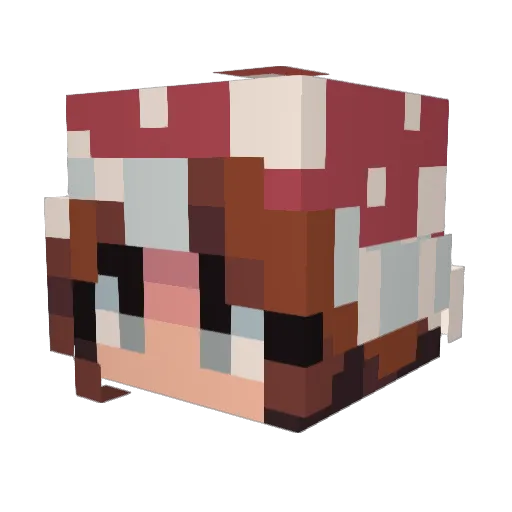 DantaWyn06 Minecraft avatar head, 3D render