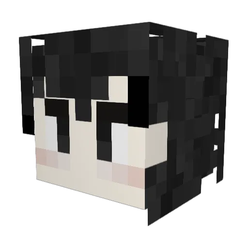 Dantaliam Minecraft avatar head, 3D render