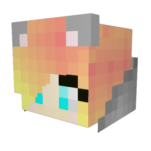Dantdmgirl11 Minecraft avatar head, 3D render