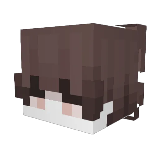 Dante311 Minecraft avatar head, 3D render