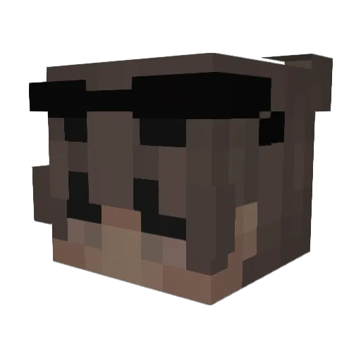 DanteOnTop Minecraft avatar head, 3D render