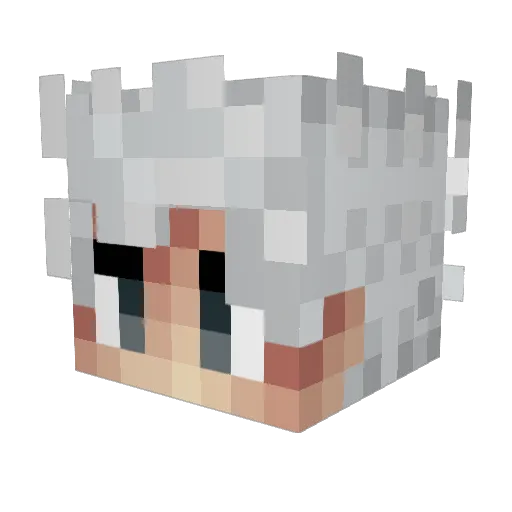 Dantefay Minecraft avatar head, 3D render