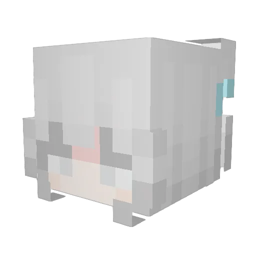 Dantenie Minecraft avatar head, 3D render