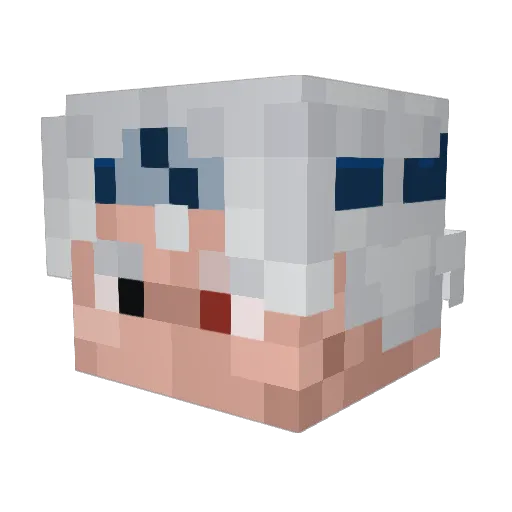 Danterage Minecraft avatar head, 3D render