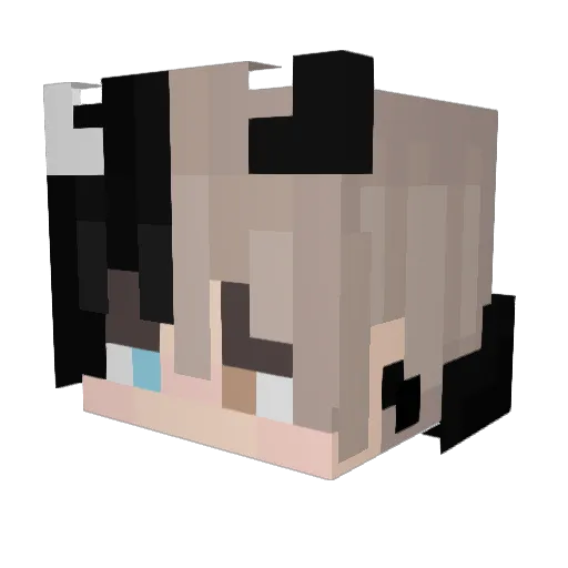 Danthe06M Minecraft avatar head, 3D render