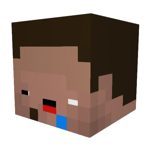 DantheMan0925 Minecraft avatar head, 3D render