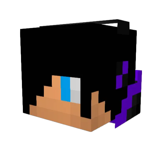 Dantheboss2005 Minecraft avatar head, 3D render