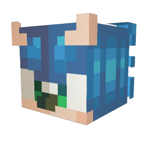 Dantheman00020 Minecraft avatar head, 3D render