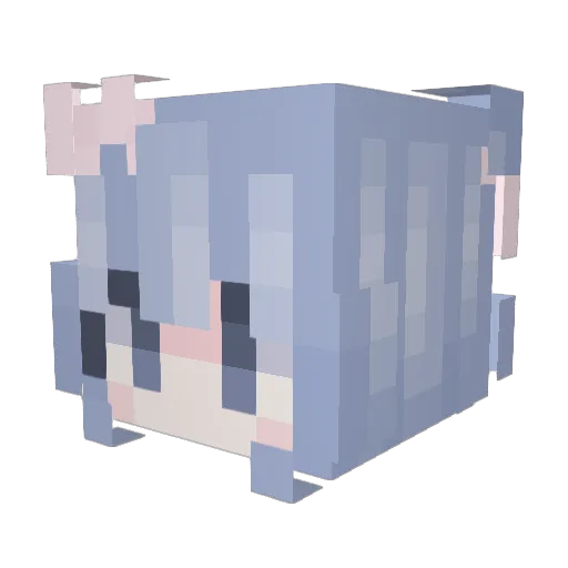 Danti11111 Minecraft avatar head, 3D render